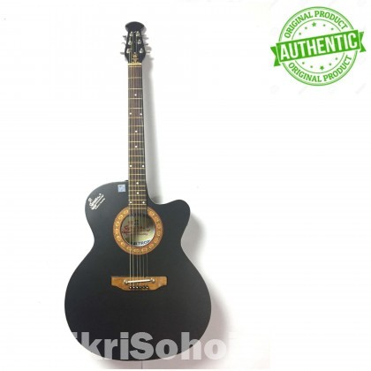 Brand New indian Signature guitar